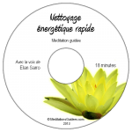 nettoyage_energétique_rapide