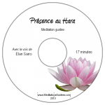 presence_hara